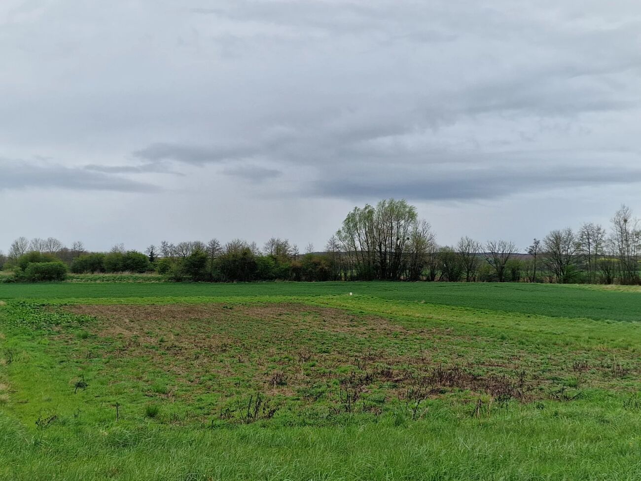  Land in Froidmont-Cohartille, France No. 59108