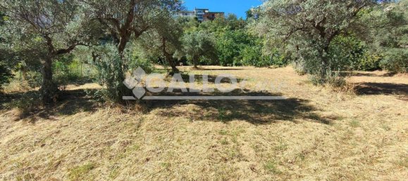 Grundstück in Castiglione Cosentino, Italy 5000m², Nr. 260082 5