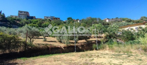 Grundstück in Castiglione Cosentino, Italy 5000m², Nr. 260082 3