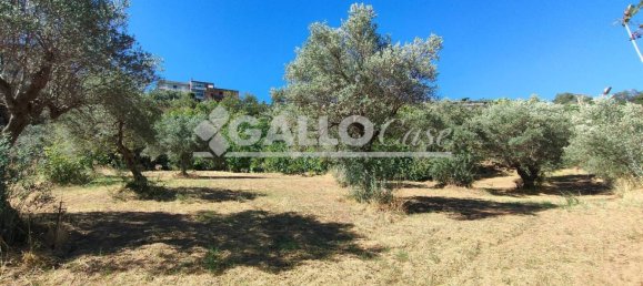 Grundstück in Castiglione Cosentino, Italy 5000m², Nr. 260082 7