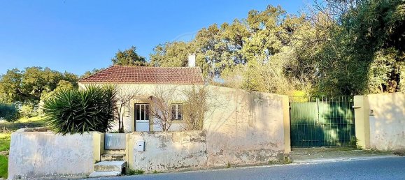 3 bedrooms House in Rio Maior, Portugal No. 25479 15