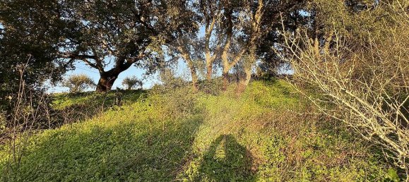 3 bedrooms House in Rio Maior, Portugal No. 25479 21