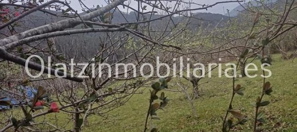 1 bedroom House in Basque Autonomous Community, Spain No. 172759 14