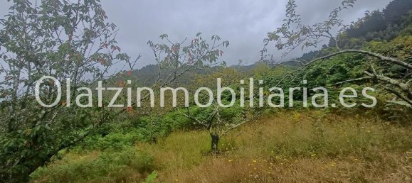 1 bedroom House in Basque Autonomous Community, Spain No. 172759 17