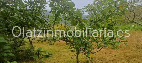 1 bedroom House in Basque Autonomous Community, Spain No. 172759 20