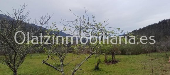 1 bedroom House in Basque Autonomous Community, Spain No. 172759 13