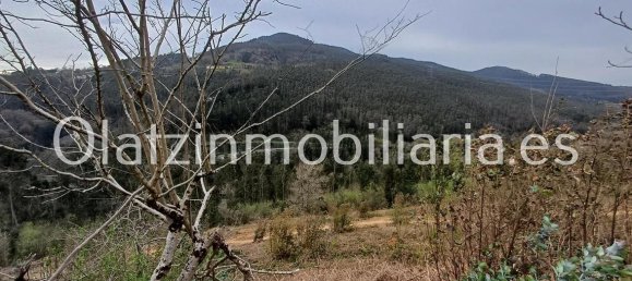 1 bedroom House in Basque Autonomous Community, Spain No. 172759 8