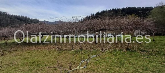 1 bedroom House in Basque Autonomous Community, Spain No. 172759 12