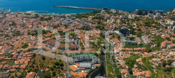 6 bedrooms Penthouse in Funchal, Portugal No. 176663 13