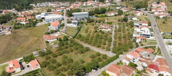 6 bedrooms Villa in Leiria, Portugal No. 105527 5