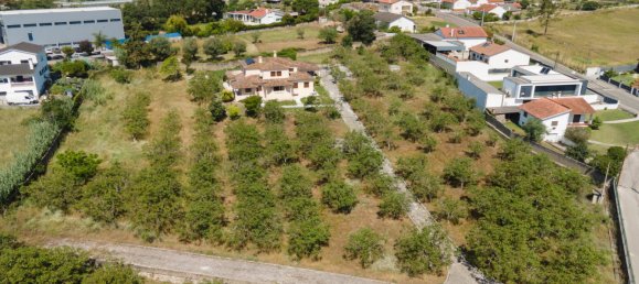 6 bedrooms Villa in Leiria, Portugal No. 105527 4