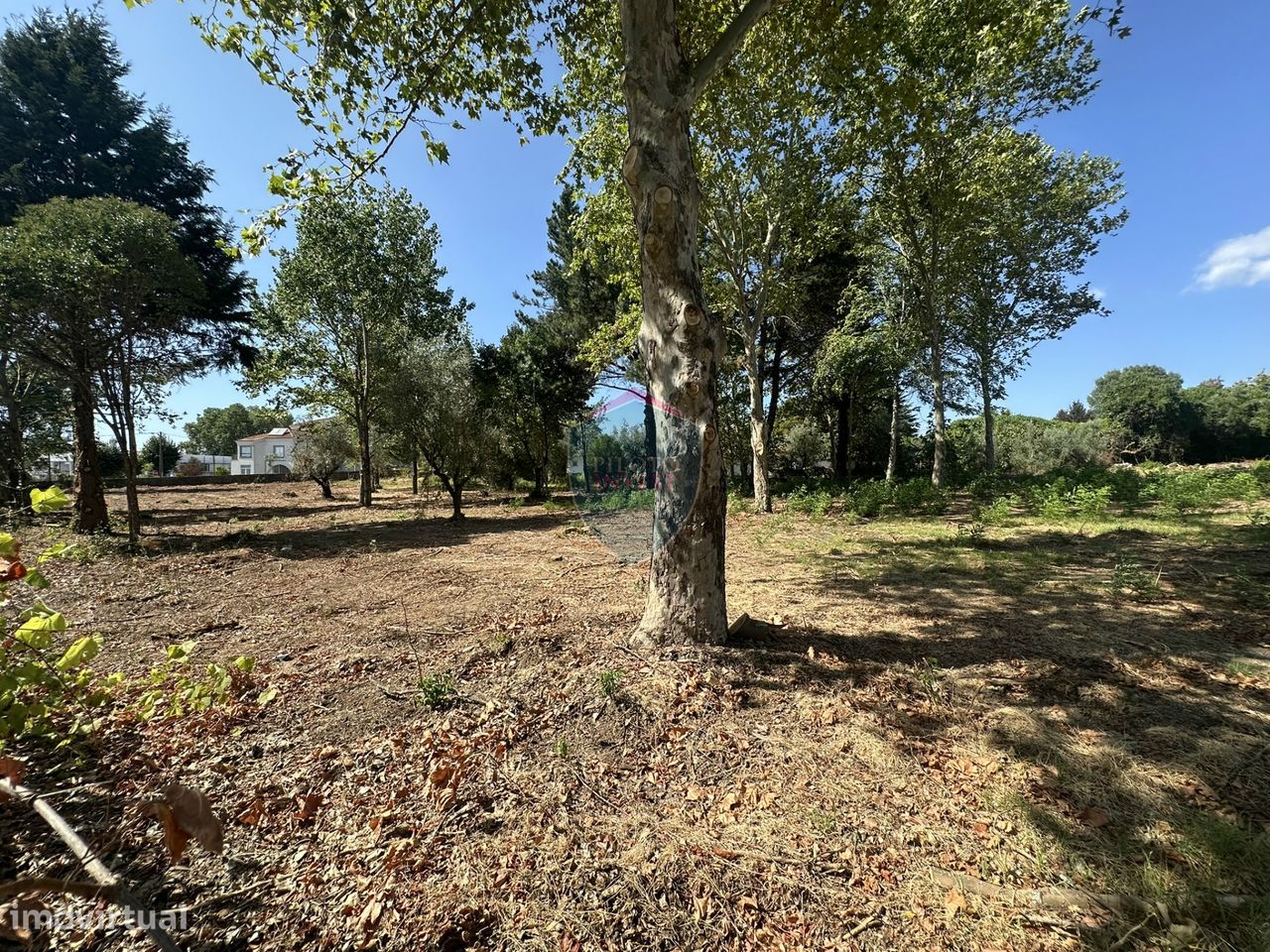 4809m² Land in Carregal do Sal, Portugal No. 295615