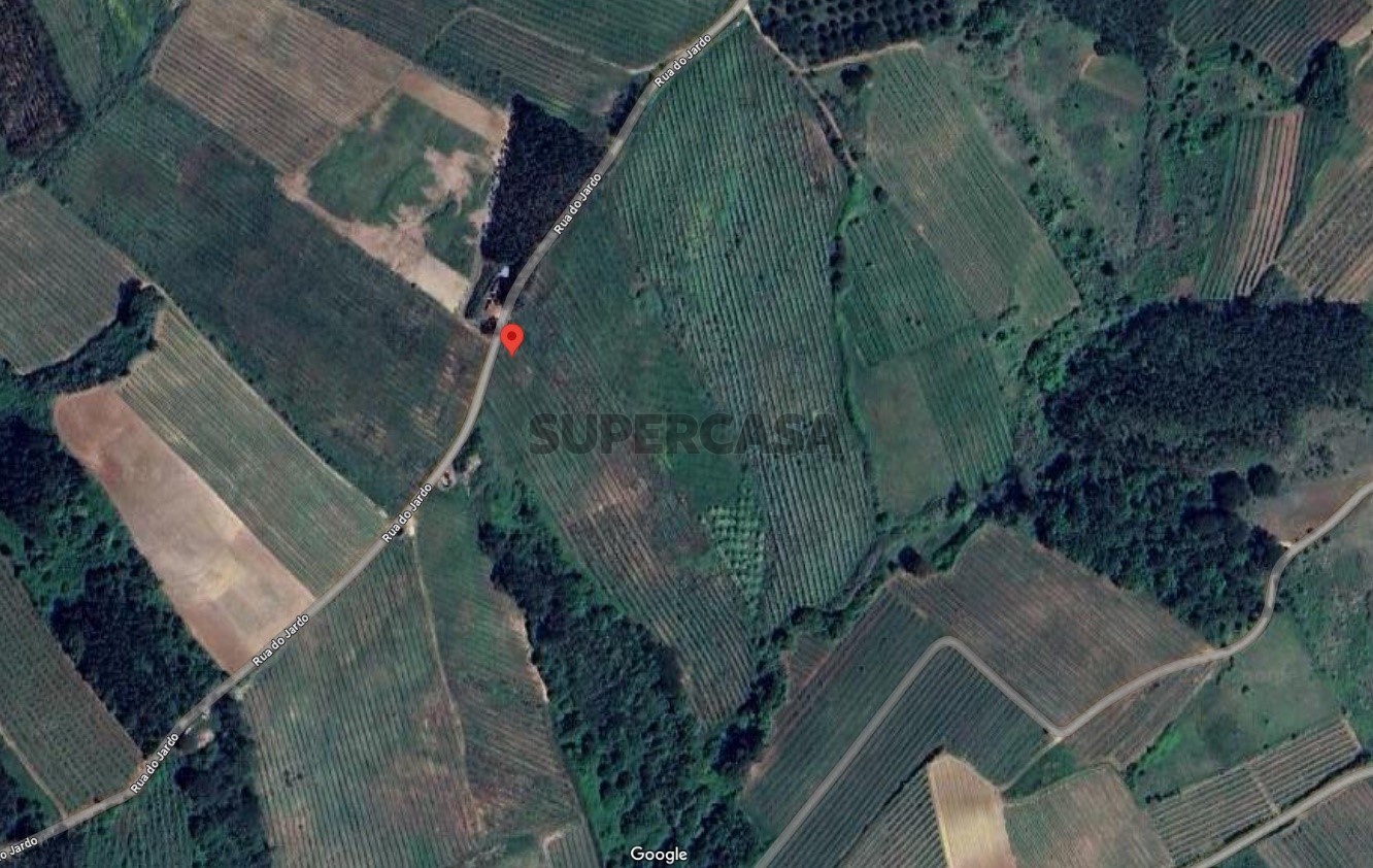  Land in Caldas da Rainha, Portugal No. 159531