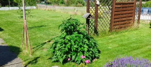 4 rooms Townhouse in Harz, Germany No. 222043 12