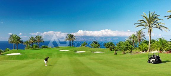 2 bedrooms Apartment in Adeje, Spain No. 27093 37