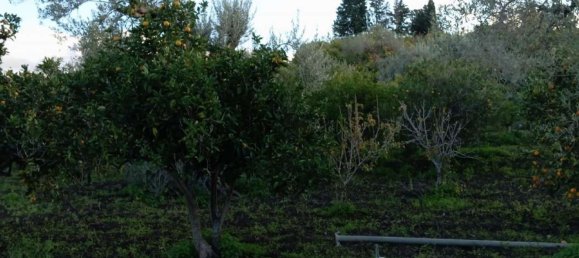 Grundstück in Campofelice di Roccella, Italy 10000m², Nr. 154481 7