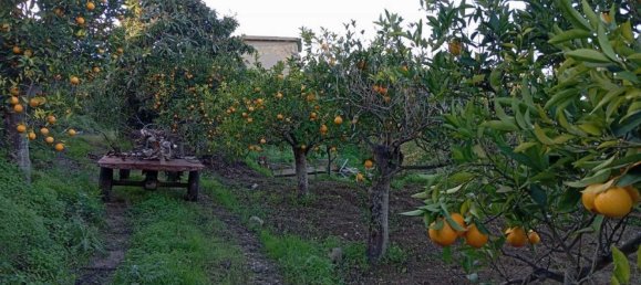 Grundstück in Campofelice di Roccella, Italy 10000m², Nr. 154481 10