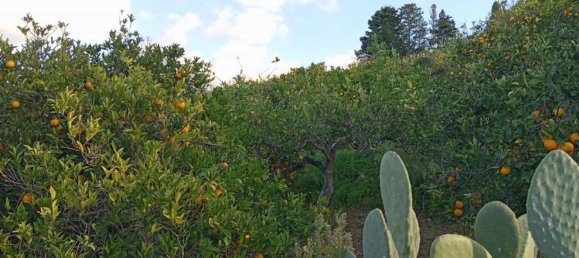 Grundstück in Campofelice di Roccella, Italy 10000m², Nr. 154481 12