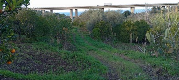 Grundstück in Campofelice di Roccella, Italy 10000m², Nr. 154481 9