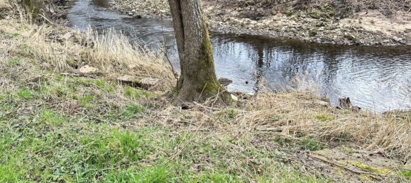 4 rooms House in Darney, France No. 83624 4