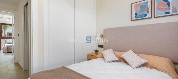 2 bedrooms Bungalow in Torrevieja, Spain No. 8746 12