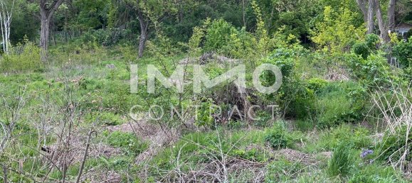 Land in Staatz, Austria No. 92906 4