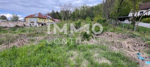 Land in Staatz, Austria No. 92906 5