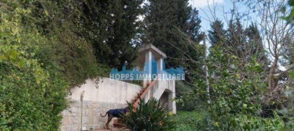 4 غرف نوم فيلا في Monreale, Italy رقم 8944 46