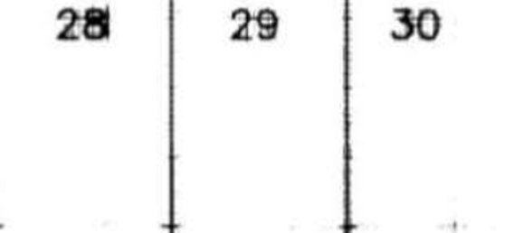 Квартира с 3 комнатами в Помеция, Италия № 16295 40