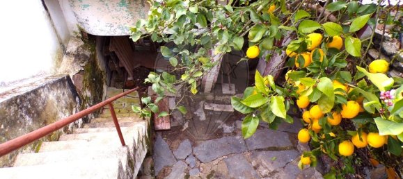 4 Schlafzimmer Haus in Veiros, Portugal, Nr. 16931 23