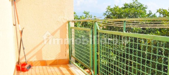 1 bedroom Apartment in Ameglia, Italy No. 146390 9