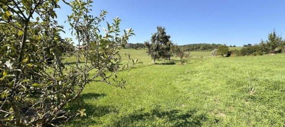 5 rooms Building in They-sous-Montfort, France No. 243883 12