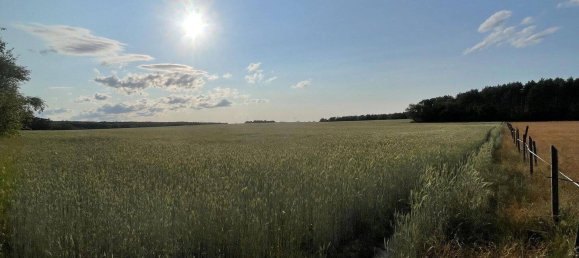 Grundstück in Dahme-Spreewald, Germany, Nr. 93907 5