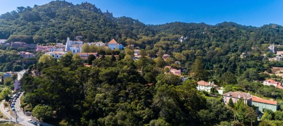 9 Schlafzimmer Haus in Sintra, Portugal, Nr. 135993 40