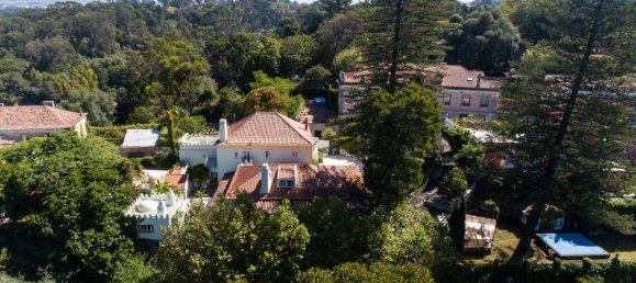 9 Schlafzimmer Haus in Sintra, Portugal, Nr. 135993 39