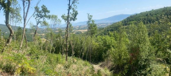 Studio in Spoleto, Italy No. 258060 2