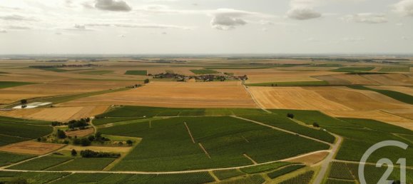 5 chambres Châteaux à Broyes, France No. 94013 15