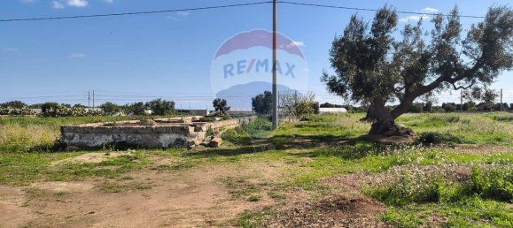 Дом с 6 комнатами в Монополи, Италия № 138237 16