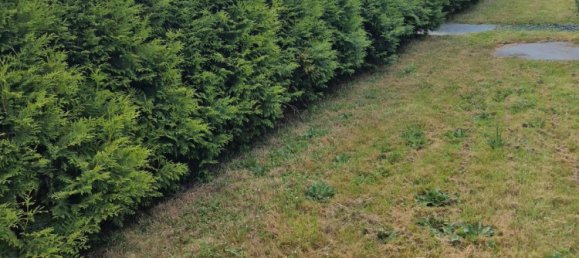 1 Schlafzimmer Haus in Düren, Germany, Nr. 322182 18