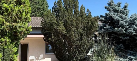 8 Schlafzimmer Haus in Rhein-Pfalz, Germany, Nr. 321182 16