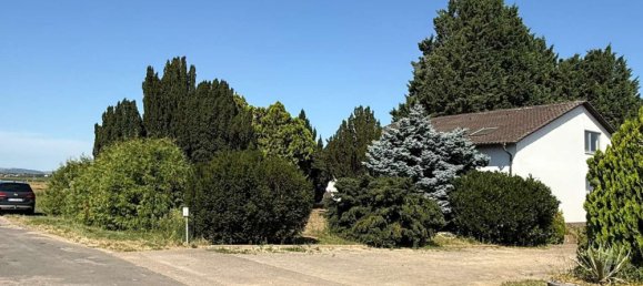 8 Schlafzimmer Haus in Rhein-Pfalz, Germany, Nr. 321182 2