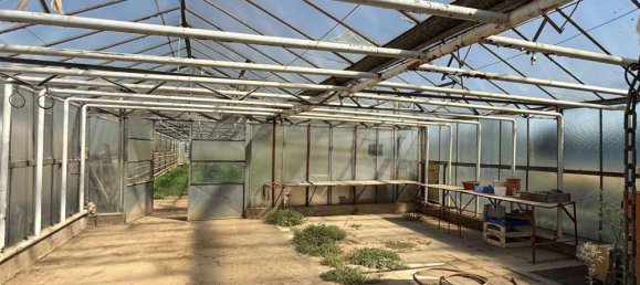 8 Schlafzimmer Haus in Rhein-Pfalz, Germany, Nr. 321182 42