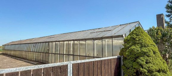 8 Schlafzimmer Haus in Rhein-Pfalz, Germany, Nr. 321182 40