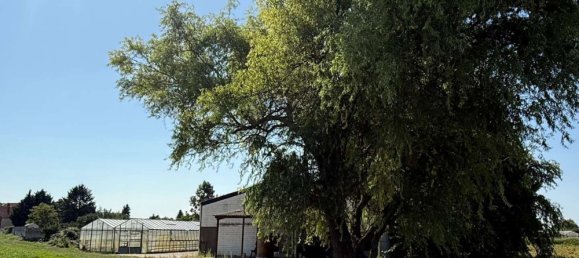 8 Schlafzimmer Haus in Rhein-Pfalz, Germany, Nr. 321182 39