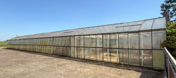 8 Schlafzimmer Haus in Rhein-Pfalz, Germany, Nr. 321182 41