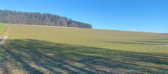  Land in Gurten, Austria No. 94498 7