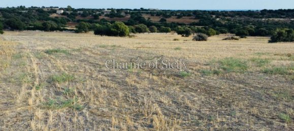 10000m² Land in Modica, Italy No. 138484 14