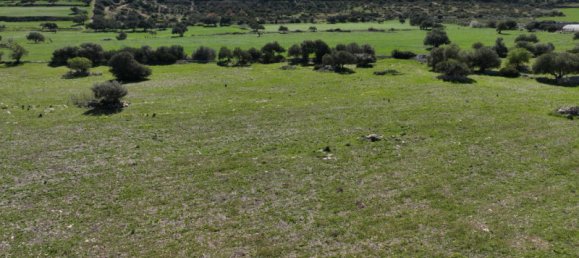 10000m² Land in Modica, Italy No. 138484 15