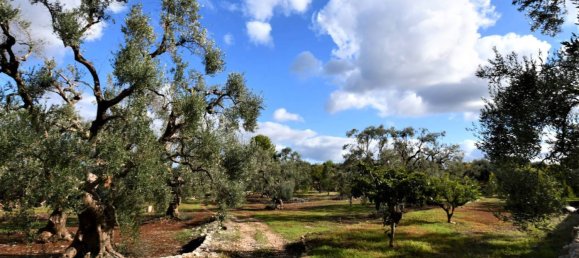 6 غرف نوم منزل في Fasano, Italy رقم 271301 18