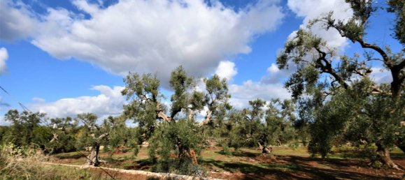 6 غرف نوم منزل في Fasano, Italy رقم 271301 19